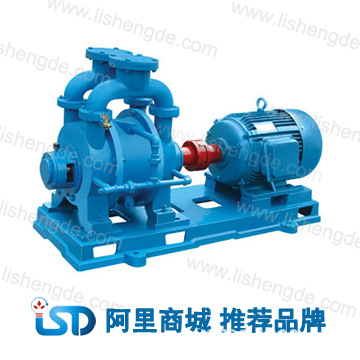 水環(huán)真空泵